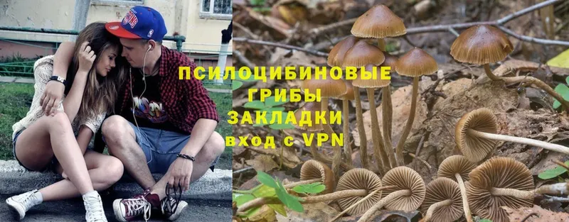 купить закладку  Шарыпово  Псилоцибиновые грибы прущие грибы 